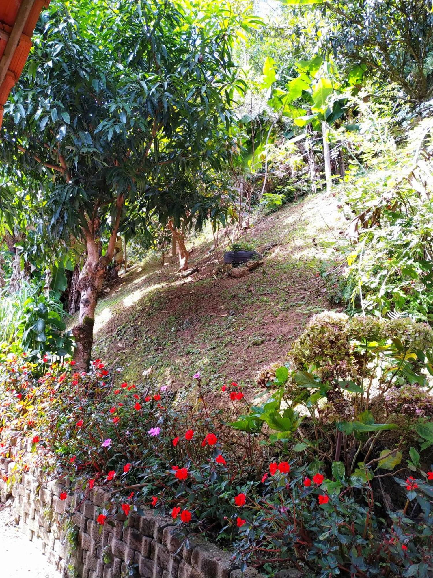 Pousada Do Bar- Budo Visconde De Maua Exterior foto